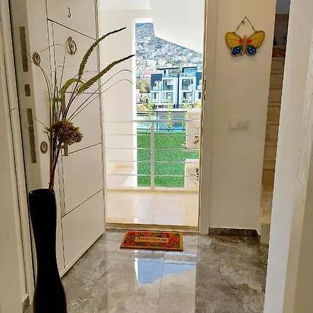 Apartment Penthouse Duplex 